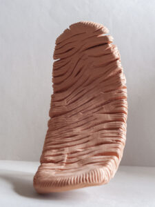 mazzoncini exploracion creativa 3